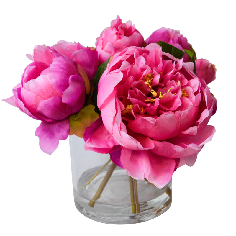T&C Floral Company Fresh Cut Peony Floral Arrangements in Jar & Reviews